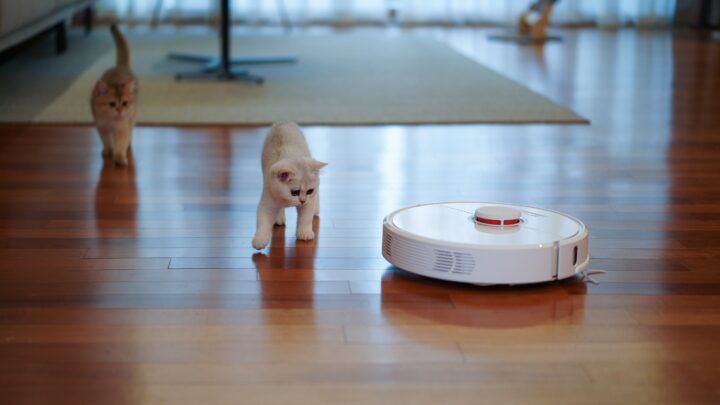 Jak przyzwyczaić kota i psa do obecności robota sprzątającego? Praktyczne wskazówki dla właścicieli zwierząt