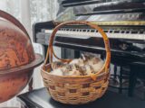 two kittens sleeping in a basket next to a piano