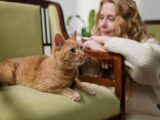 A woman enjoys a peaceful moment indoors with her ginger cat relaxing on a green armchair.