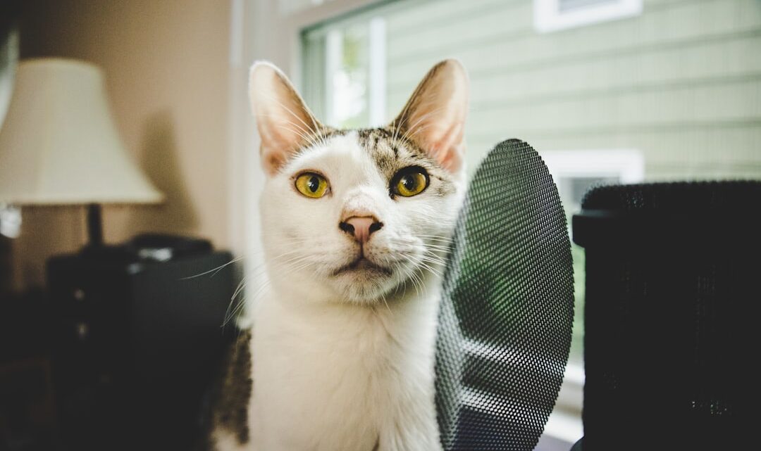 Oczyszczacze powietrza dla alergików na kota: Czy to skuteczne rozwiązanie i jaki model wybrać?