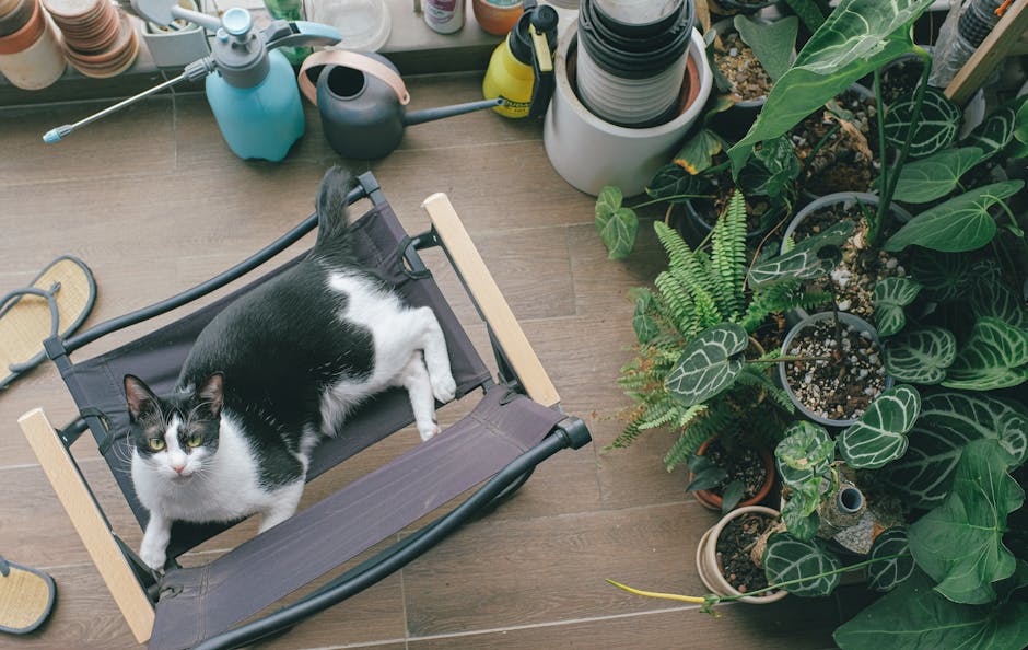 Toksyczne substancje w domu: Lista niebezpiecznych produktów, leków i ludzkich pokarmów dla kota i jak reagować w razie zatrucia.