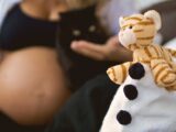 Ciąża u kotki: Objawy, etapy i opieka nad ciężarną kotką i jej kociętami.