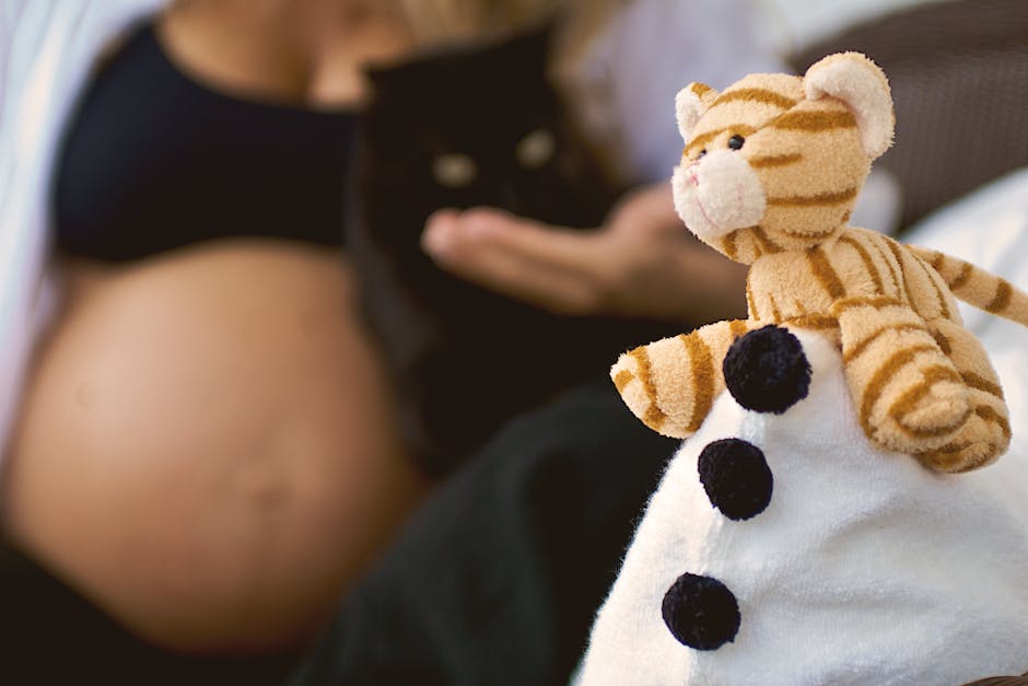 Ciąża u kotki: Objawy, etapy i opieka nad ciężarną kotką i jej kociętami.