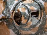 A cute grey cat peeks through a tropical-patterned play tunnel indoors, showcasing its playful nature.