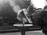a person bending over to drink from a fountain