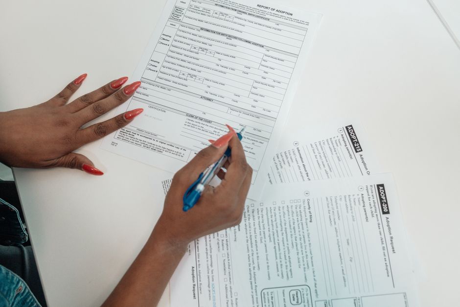 Adopcja kota krok po kroku: Formalności, umowa adopcyjna i przygotowanie dokumentów.