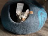 A tabby cat peeking out of a felt cat bed.