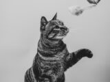 grayscale photography of tabby cat