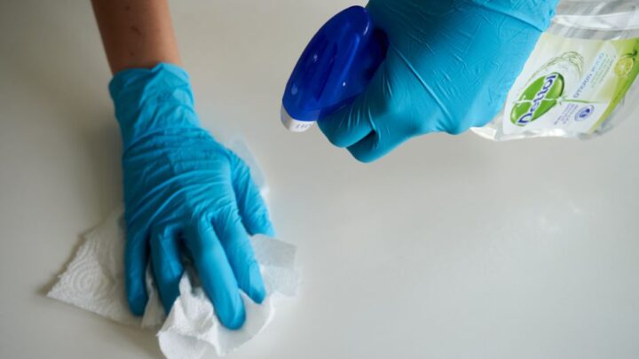 Chemiczne zagrożenia w domowym środowisku kota: Jak chronić pupila przed toksynami z detergentów, odświeżaczy powietrza i mebli?