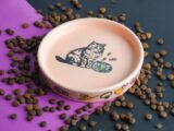 A bowl filled with dog food on top of a purple surface